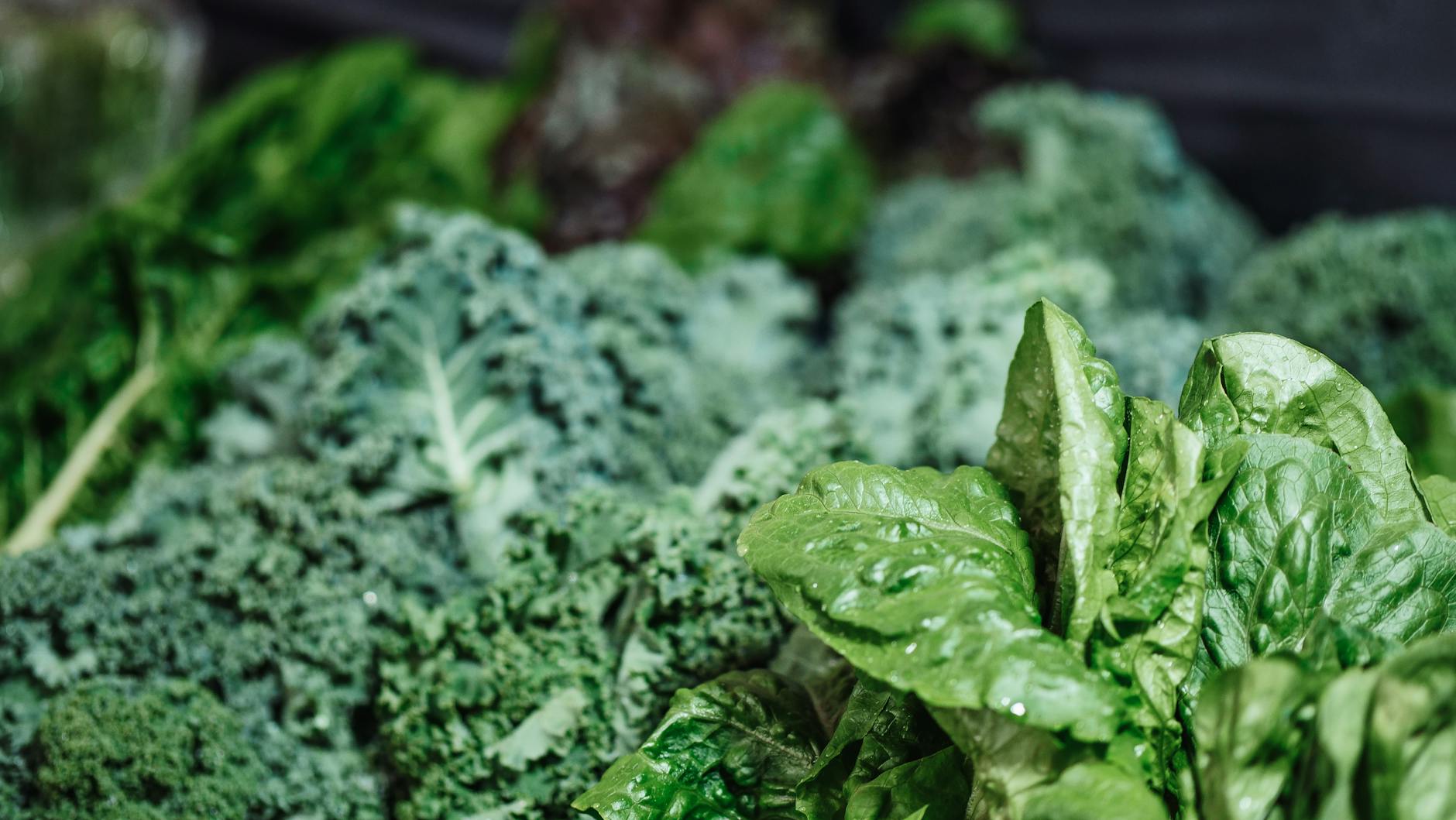Photo : Kindel Media / Pexels Légumes verts, sources alimentaires naturelles de magnésium en complément d'une supplémentation