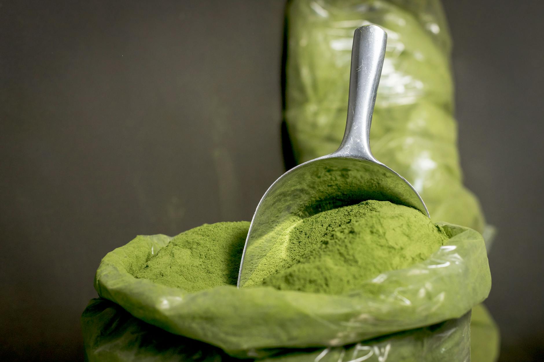 Photo : William Greaves Brown / Pexels Poudre de moringa séché — complément alimentaire naturel énergie et immunité